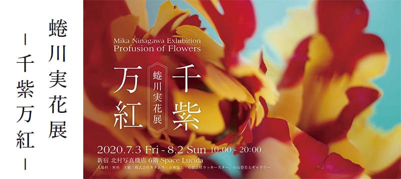 蜷川実花展 -千紫万紅-