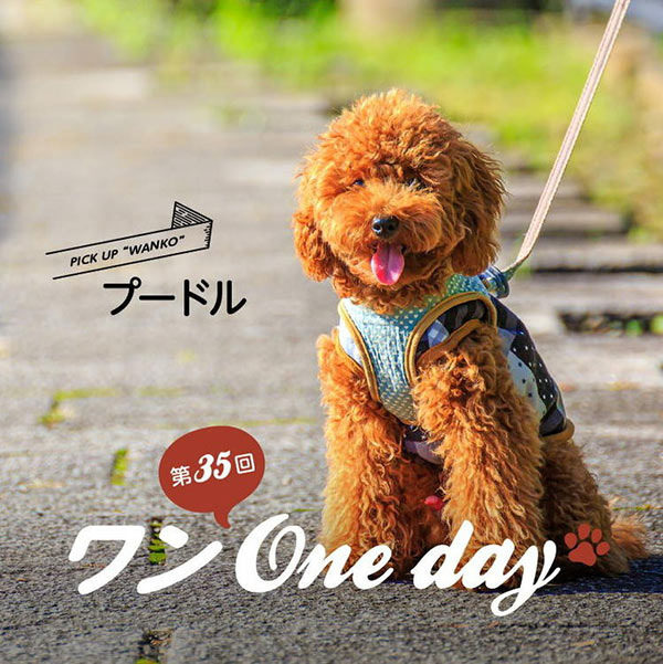 ワンOne day_35