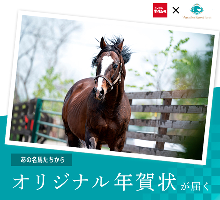 「ヴェルサイユリゾートファーム」コラボ年賀状を限定販売