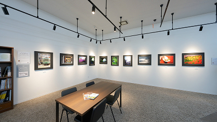 フォトギャラリー