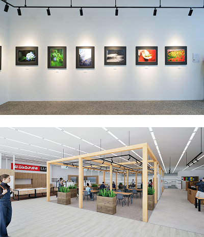 フォトギャラリー