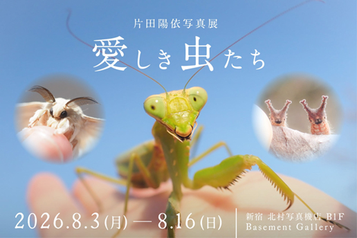 話題の虫プロデューサー片田 陽依氏の写真展「愛しき虫たち」