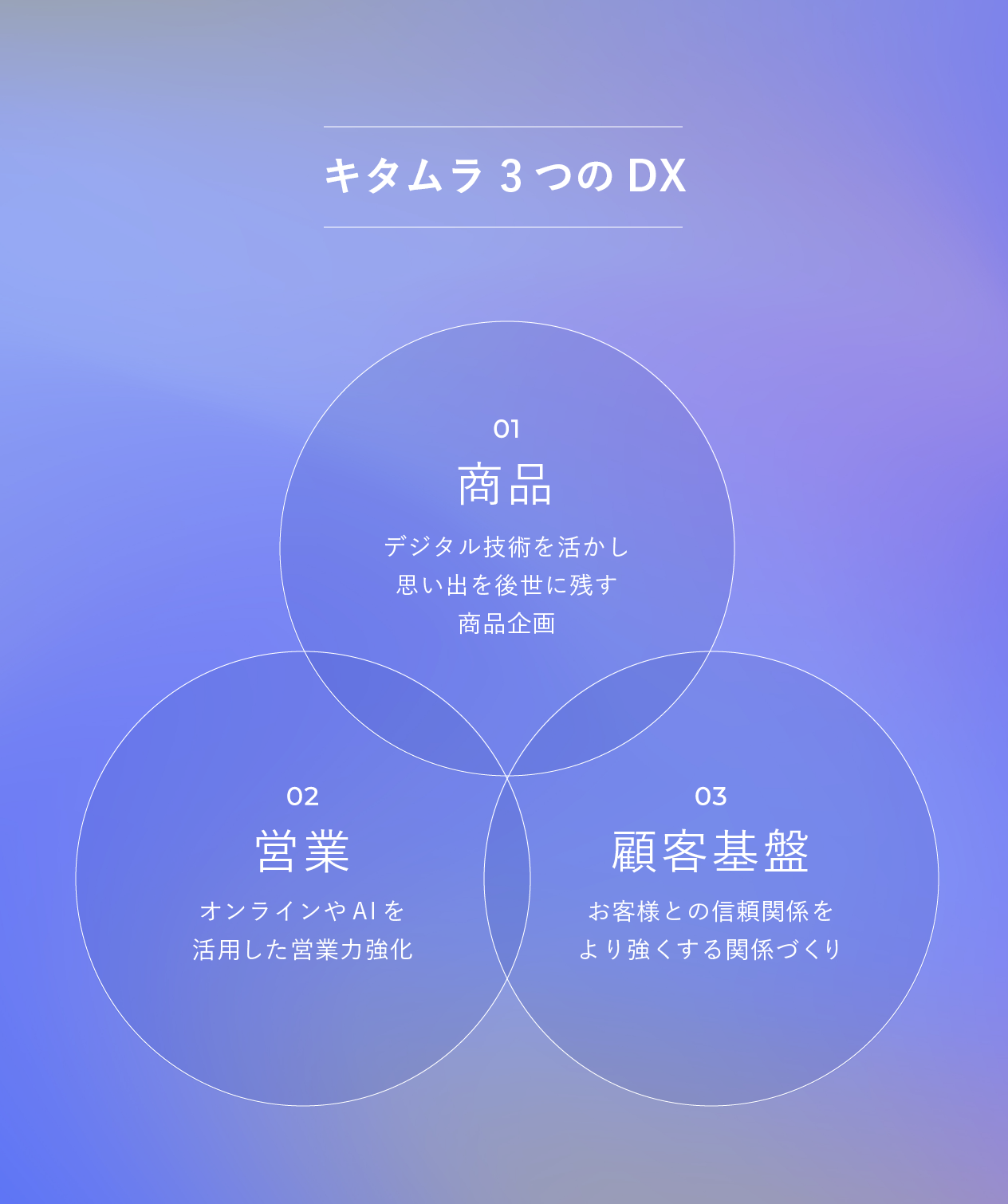 キタムラ３つのDX
